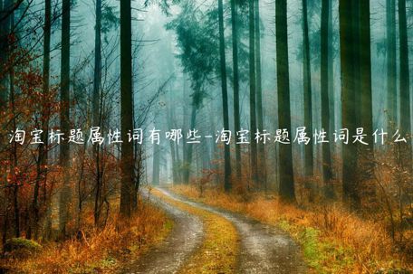 淘寶標(biāo)題屬性詞有哪些-淘寶標(biāo)題屬性詞是什么